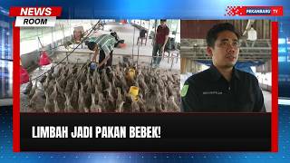 Siswa SMK Pertanian Pekanbaru Beternak 200 Bebek, Limbah Diolah Jadi Pakan