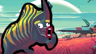 If "No Man's Sky" was Honest with Us (Animation)