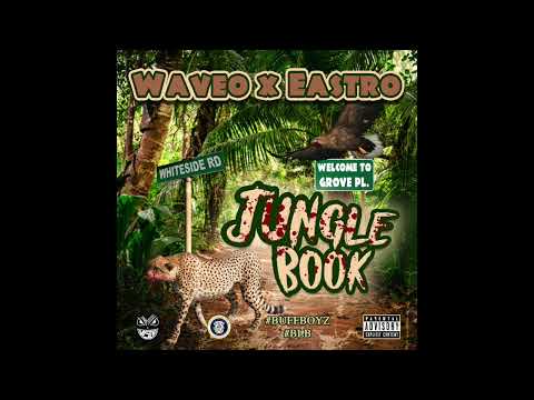 1.Waveo x Eastro-Safari ft @Stunna2Fly