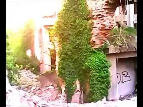 Cementara u Podsusedu