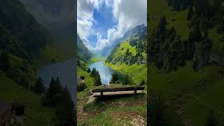 ¿A quién traerías a este paraíso ❤️✨