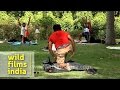 Yoga class at Lodi Garden, Delhi 