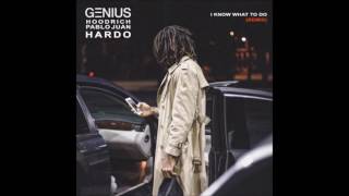 GENIUS Ft. Hoodrich Pablo Juan & Hardo - I Know What To Do (Remix)