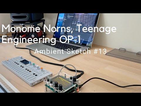 Monome Norns (Barcodes)  / Teenage Engineering OP-1 - 'Dusk Birds' - Ambient Improvisation #14