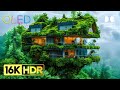 Most Jaw Dropping Places 16K HDR Dolby Vision 16K Video ULTRA HD