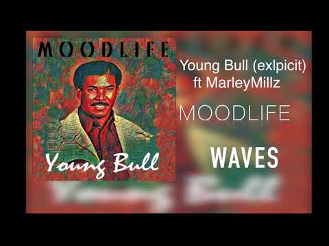 MOODLIFE - Young Bull ft MarleyMillz