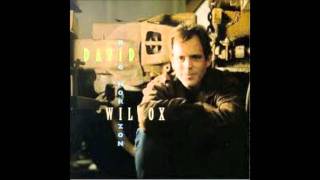 David Wilcox   Missing You