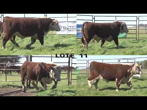 Cabaña "El Mojon"  de Dick