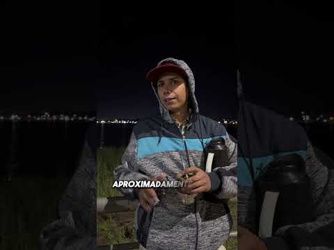 Surubi gigante en costanera de Posadas misiones