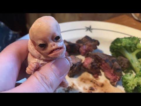 Our alien caterpillar creature goes out for steak!