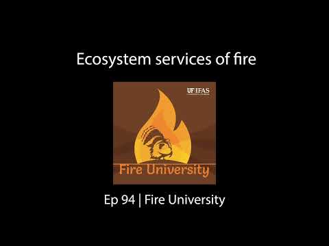 Ecosystem services of fire | Ep 94: Fire University