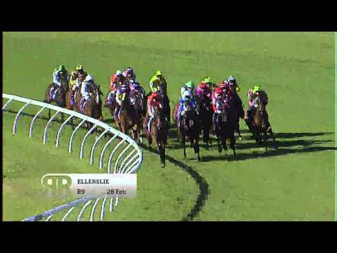 2015 New Zealand Derby