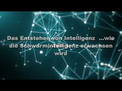 Schwarmintelligenz - Die Entstehung von Intelligenz (Teil 1)