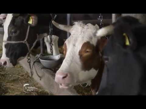 U našem ataru ep. 97 11.03.2018.