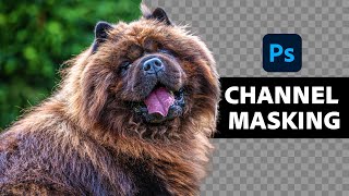 Insanely Difficult Selections MADE EASY with Alpha Channels in Photoshop