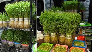 Come Grow with Me! Grow Food Fast!
