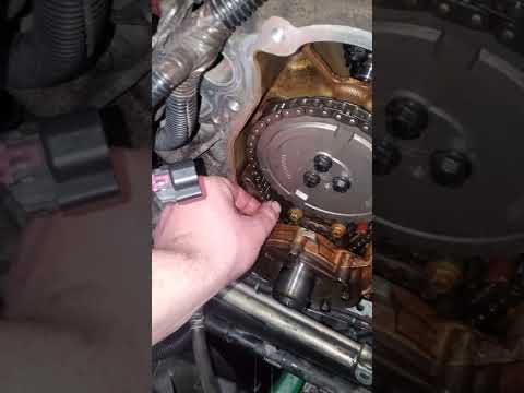 Completely Normal LS timing chain.
