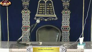 בית המדרש "תורת דוד" ¤ שידור חי ¤ ד' אב תשפ"ה (29.7.2025) (מוסדות תורת דוד) - התמונה מוצגת ישירות מתוך אתר האינטרנט יוטיוב. זכויות היוצרים בתמונה שייכות ליוצרה. קישור קרדיט למקור התוכן נמצא בתוך דף הסרטון