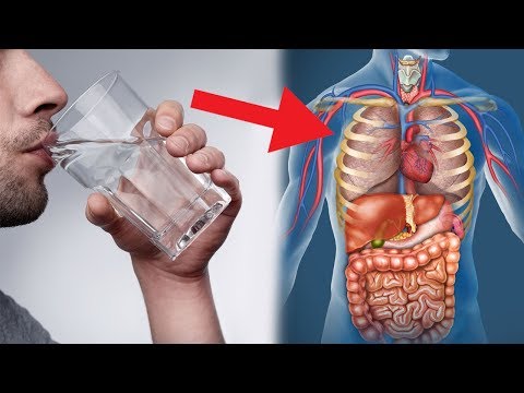 Diabetiker und Wassermelone Diabetes kann Blutwurst sein