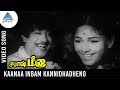 Sabash Meena Old Movie Songs Kanaa Inbam Kannidhadheno Video Song Sivaji Ganesan Malini
