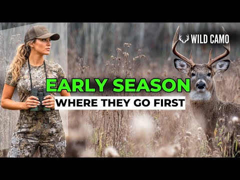 Modelli di cervi maschi di inizio stagione SVELATI dove vanno per primi