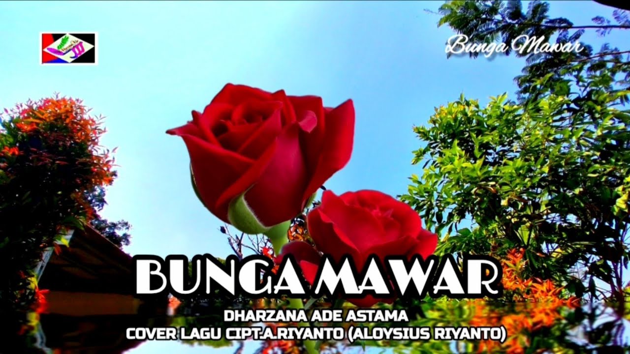 Bunga Mawar - Dharzana Ade Astama Cover Duet Lagu Cipt A Riyanto