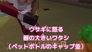 PS4【マインクラフト】初心者が行く！第12話 牧場作りpart2（まだやってんの？マイソングさん）の巻☆