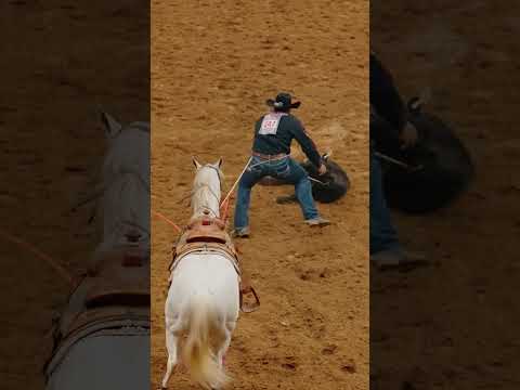 The BEST Calf Roping Angle by far #shorts