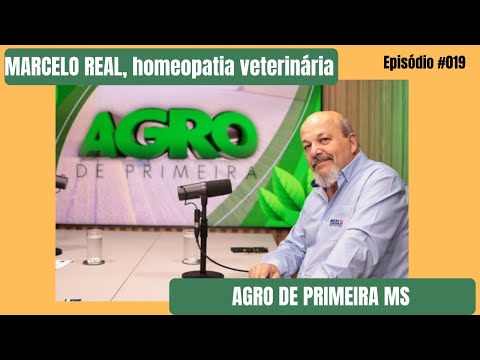 Homeopatia veterinária reduz estresse de gado picado por moscas