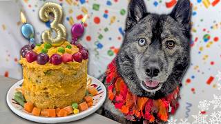 Turkey Feast Birthday Cake for Dogs 🦃 DIY Dog Treats | Thanksgiving for Dogs