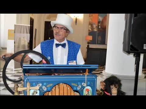 International Mechanical Music Festival , Iași 2018 - Nănescu Monica