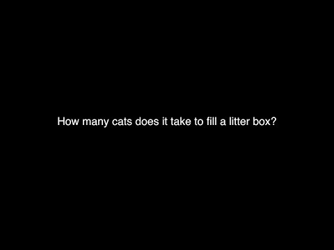 How Many Cats Does it Take to Fill a Litter Box? No! Not Like That!!!