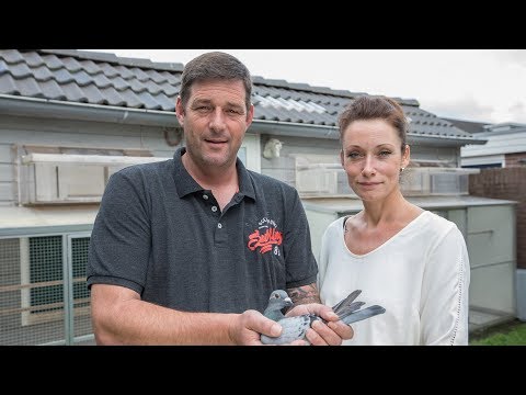 Nationale winnaars NPO 2017 - Châteauroux: Alfred en Geanne van Zoeren (with English subtitles)