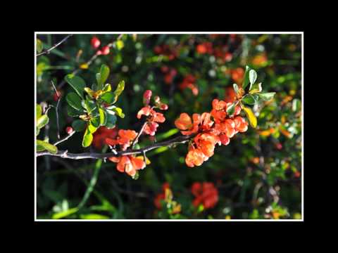 Zagadka  Anna Poźlewicz fot Andrzej Dąbek 2012