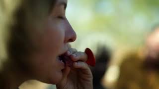 Seek different on a bush tucker experience in the Northern Territory