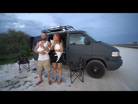 Fest leben im Wohnmobil: Julian (29) und Ten (30) reisen mit 2 Katzen durch Europa. T4 Synchro.
