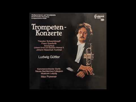 Ludwig Güttler - Sonate für Trompete, Streicher und Basso continuo D-Dur (Anonymus?)