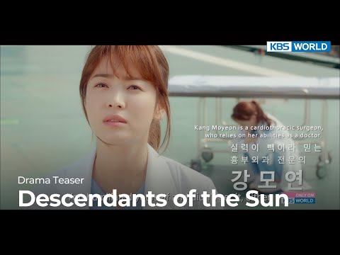 태양의 후예