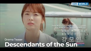 태양의 후예
