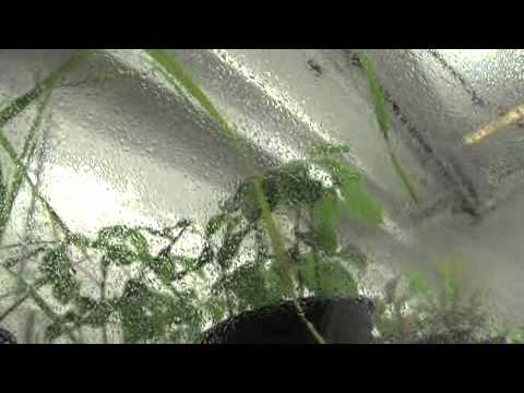 CEM Analytical Services Ltd. (CEMAS)