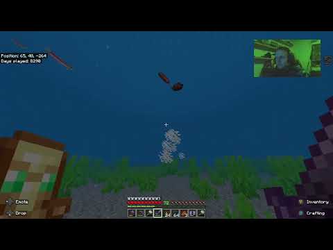 MInecraft : Episode 125 - Making tools and gathering resources part 2