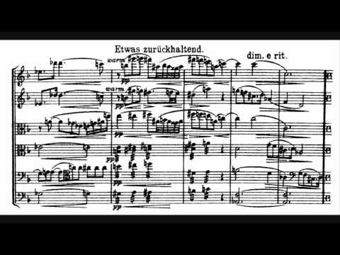 Schoenberg Verklarte Nacht ( Transfigured Night ) Op. 4 Part 1