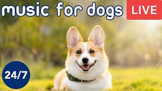 Relaxing Dog Music TV  (Live 24/7) Used by 10 Million Dogs, Deep Sleep Anxiety Therapy