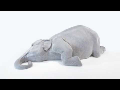 APT5 / Bharti Kher discusses 'The skin speaks a language not its own'