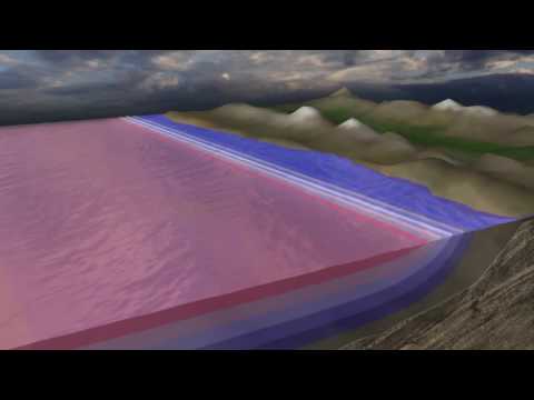 Upwelling and Hypoxia