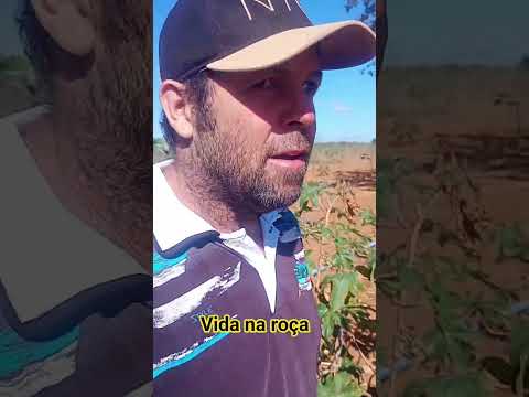 fazenda Diniz besouro de são Gabriel ba
