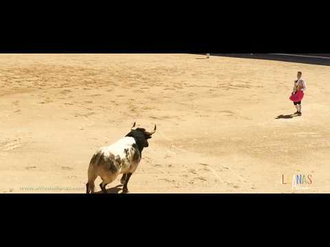 SEMIFINAL Y FINAL DEL CAMPEONATO DE ESPAÑA DE RECORTADORES