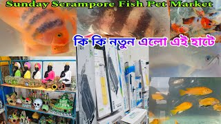 কালো ডোরাকাটা রঙিন নতুন মাছ | Serampore Fish Pet Haat | Aquarium Fish Accessories | Aquarium Fish 