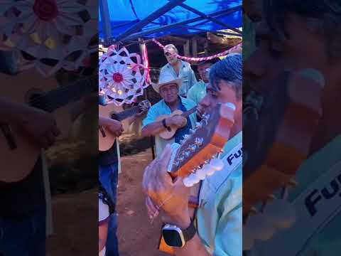 folia Santa Rosa de Goiás