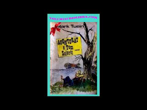 Aventurat e Tom Sojerit Kapitulli 7